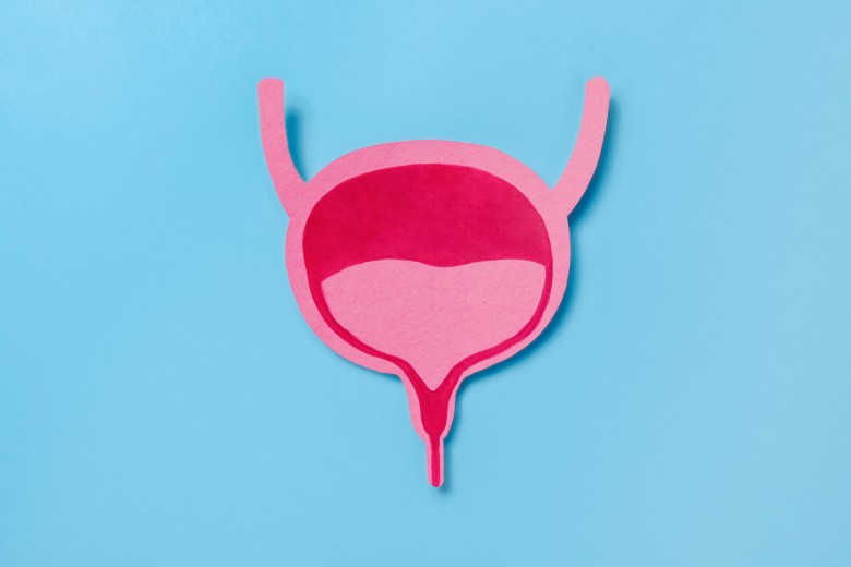 pink bladder illustration on blue background 2026 03 18 13 50 03 utc